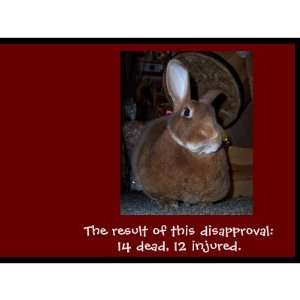  Disapproving Rabbits Mug 2