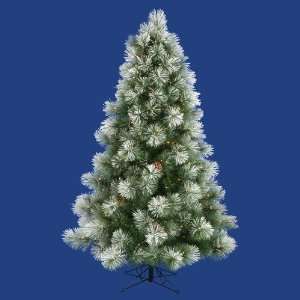  9 x 65 Scotch Pine Christmas Tree 550 Dura Lit Clear 