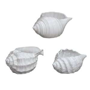  By Sadek 3 Assorted Large Shell Planters White Patio, Lawn & Garden
