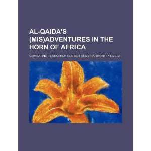  Al Qaidas (mis)adventures in the Horn of Africa 