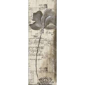  Fleurs DAnge   Poster by Paccard (13.75X37.5)