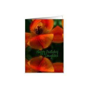   Birthday, Daughter, Graceful Red Orange Tulip Macro Card Toys & Games
