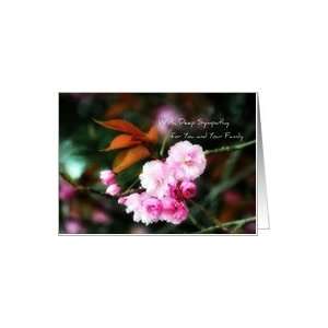 With Deep Sympathy for You and Your Family, Cherry Blossoms Photo Card