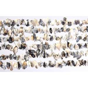  Dendrite Opal Chips   