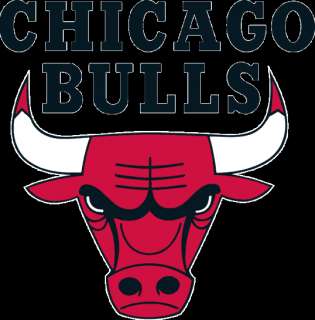 NBA DENNIS RODMAN Chicago Bulls Home Swingman jersey size MEDIUM New 