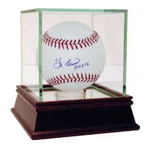 MLB New York Yankees Yogi Berra Signed Baseball with Hall of Fame 72 