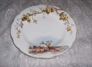 Antique Austrian China Plate Floral Country Scene  