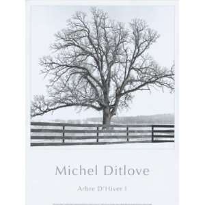  Michel Ditlove   Arbres Dhivers I Canvas