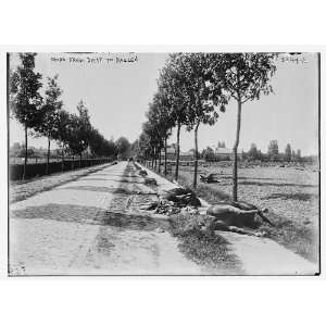  Road from Diest to Haelen