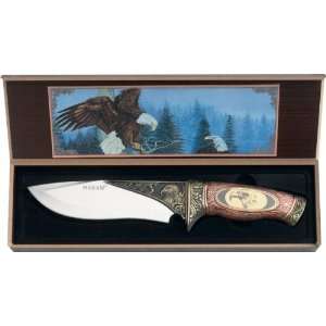 Maxam 11 Hunting Knife with a picture of an eagle  Sports 