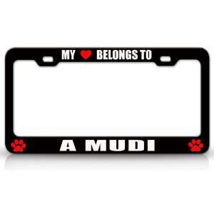 MY HEART BELONGS TO A MUDI Dog Pet Steel Metal Auto License Plate 