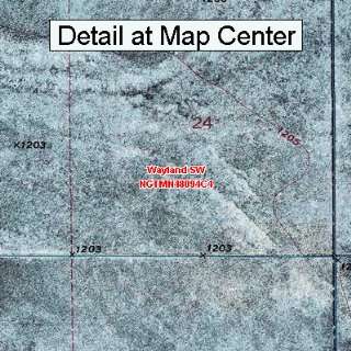  USGS Topographic Quadrangle Map   Wayland SW, Minnesota 