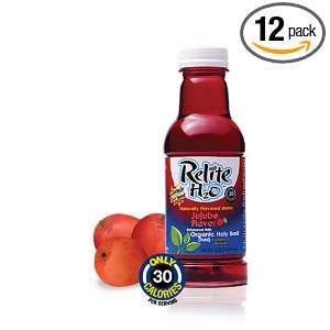 Relite H2O Jujube Flavor 16 oz bottle (12 pack)  Grocery 