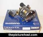 Brand New In Box Shimano Tekota 300 Conventional Levelw  