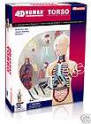   Lindberg Natural Science Series The Human Body Model Toy Sealed Kit