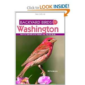  Birds of Washington How to Identify and Attract the Top 25 Birds 