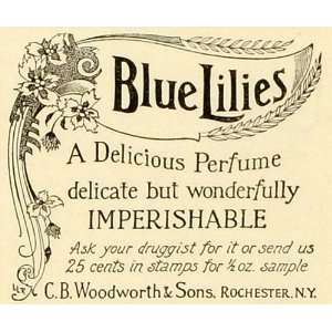  1893 Ad C B Woodworth & Sons Rochester NY Blue Lilies 