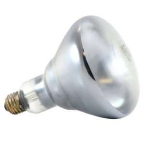   03509 Incandescent 250 Watt Medium BR40 Light Bulb