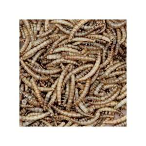  Homestead 7oz Dried Mealworms