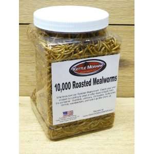  10,000 Dry Roasted Mealworms Patio, Lawn & Garden