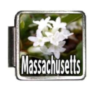  Massachusetts State Flower Mayflower Photo Italian Charm 