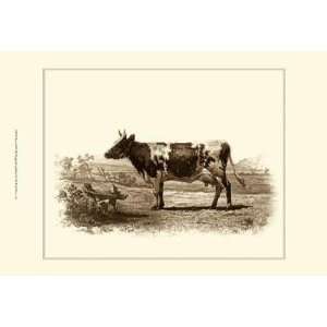  Emile Van Marck   Bovine II Canvas