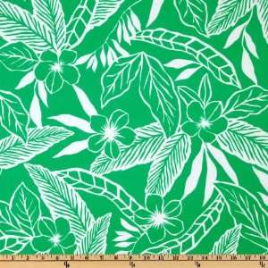 60 Wide Nylon Lycra Swimwear/Activewear Palm Leaves Green/White 