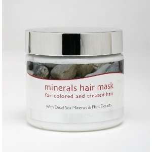  Jericho Mineral Hair Mask for Colored Treated Hair 7 Oz 