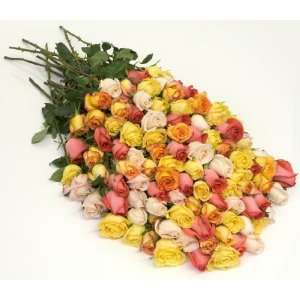 Send Fresh Cut Flowers   100 Long Stem Assorted Roses  