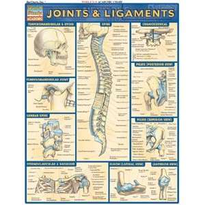  Joints & Ligaments, Laminated Guide Health & Personal 