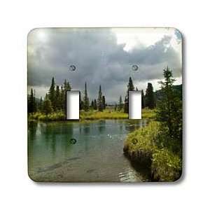  Krista Funk Creations Lapie River Reflections   Grass Sky 