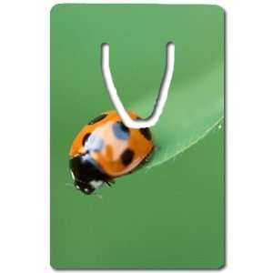 Ladybug Bookmark Great Unique Gift Idea