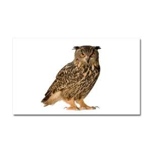  Car Magnet 20 x 12 Eurasian Eagle Owl 
