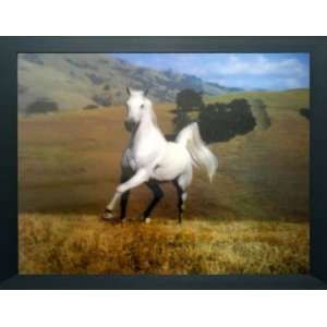  Galloping White Horse Framed 3D Picture (2 pack)