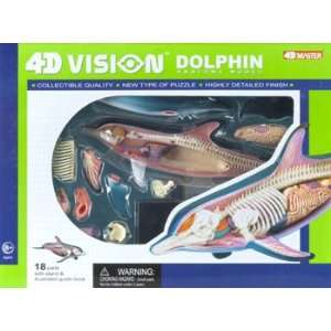    4D Vision   Visible Dolphin Anatomy Kit (Science) Toys & Games