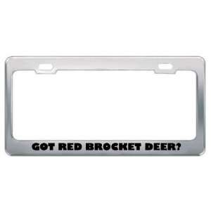 Got Red Brocket Deer? Animals Pets Metal License Plate Frame Holder 