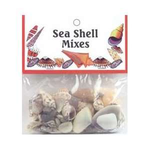  U.S. Shell Sea Shell Mixes 25/Pkg 67112; 6 Items/Order 