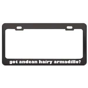 Got Andean Hairy Armadillo? Animals Pets Black Metal License Plate 