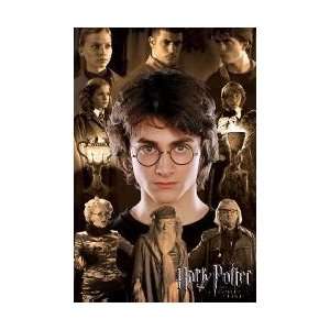   Posters Harry Potter   Montage Poster   91x61cm