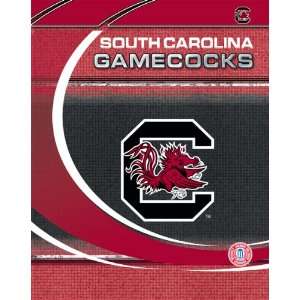  South Carolina Gamecocks NCAA Portfolio