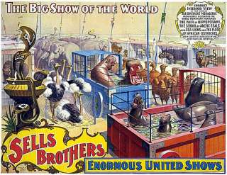 Sells Brothers Circus Poster Wild Animals  