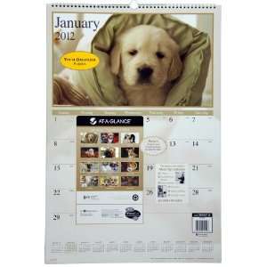  AT A GLANCE Visual Organizer Recycled Puppies Wall Calendar 