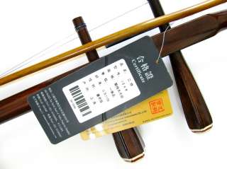 Pipa Chinese lute guitar string musical instrument  