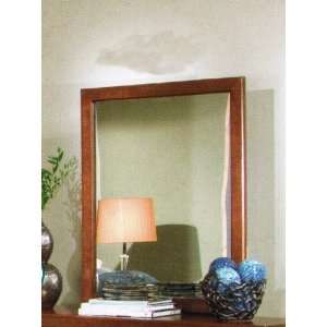  Bedroom Mirror Contemporary Style in Brown Cherry Finish 