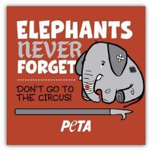  PETA Elephants never forget car bumper sticker decal 4 x 