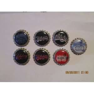  7 Billabong Bottlecap Magnets (Set 2)