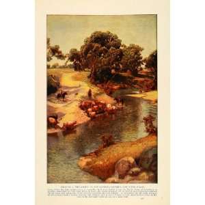  1914 Print Billabong River Riverina New South Wales United 