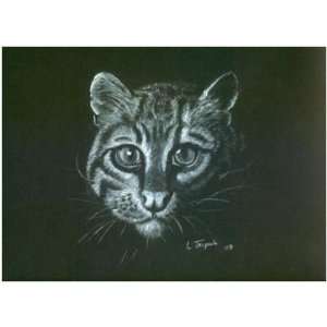    Notecards   Package of 10   Ocelot in White