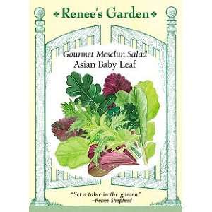   Lettuce   Gourmet Salad   Asian Baby Leaf Seeds Patio, Lawn & Garden