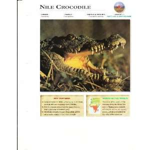   Facts Nile Crocodile Reptiles & Amphibians Group 3 Card 9 Books